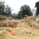 불탄도마을 이미지