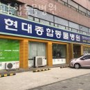 현대종합동물병원 이미지