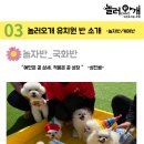 놀러오개 애견 유치원 애견 호텔 이미지