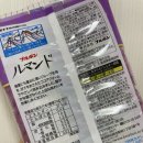 바삭한 오후