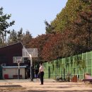 신트리공원 농구장 이미지