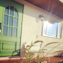 마드레한동 이미지