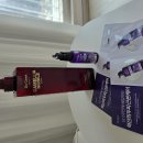 추라인뷰티 | 닥터그루트 까멜리아 노빌레 듀얼볼륨 샴푸 후기｜두피 가려움·볼륨 솔직 리뷰 (내돈내산)