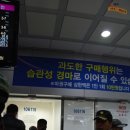 제주경마정보