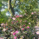 제주도에서 명념친구~~♡ 이미지