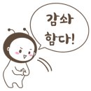 레이인더스트리
