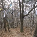 작곡재 우측 네이버블로그