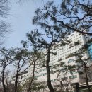 아산병원 (동관뒤) 이미지