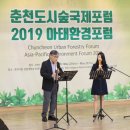 춘천시청대회의실 이미지