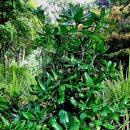 종만농장 이미지