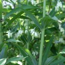 전원 어린이집 이미지