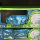 피에스파마코리아(주) | 코스트코 5월 할인 추천상품 장바구니공개, 회원권 연장 고민