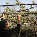 천주농장 이미지