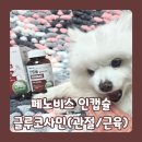 글로벌꿀벌동물병원 | 노령견 슬개골탈구 고민된다면? '페노비스 인캡슐 글루코사민' 강아지 관절 영양제 추천!