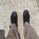 에피어뮤즈 | #에피바라 분양해 온 용인 #알식마켓