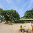 양동마을 체험관 화장실 이미지