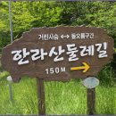 [5월 21일(토요일)]한라산 둘레길 트래킹 이미지