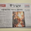 신문 구독 후기 I 신문사별 특징, 구독 팁, 신문 읽는 루틴