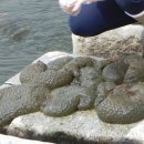 넥스트환경 이미지