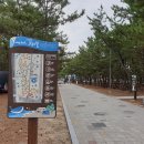 고래불쉼터 이미지