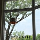 [경주] 이치니산도 평일 오픈런 후기 / 향미사