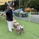 패밀리오토캠핑장 | [충북 제천] 패밀리 오토캠핑장방문/내돈내산/캠핑장추천/계곡있는 캠핑장/애견운동장