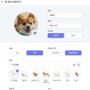 슬기로운 집사생활 | 네이버펫바우처 슬기로운 반려생활 시작 한고연몰 고양이 카사바