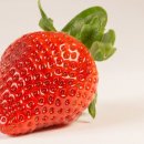딸기 이미지