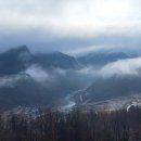 오렌지꽃향기는바람에날리고민박 이미지