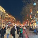 꼬치황제 | 베이징 야시장 추천｜베이징전문대가/치엔먼에서 전갈,벌레꼬치먹은 후기