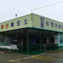 안흥유람선 이미지