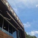 고운님 전통차 이미지