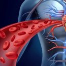 세종사우나 이미지