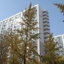 사슴공인중개사사무소 이미지