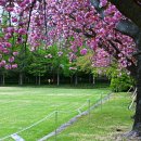 유엔기념공원주차장 이미지