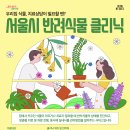 강화식물병원 티스토리