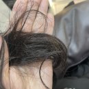 논산 쥬니헤어 미용실 | [뷰티] 분당 미금역미용실 추천, 메이원헤어 이케루 클리닉 후기