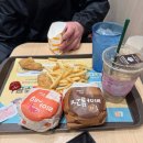 코조 | 나고야 3박4일 여행(1) 태교 여행🤰 나고야 사카에 , 미소카츠 맛집 야바톤 , 현지인 라멘 맛집 라멘 코조