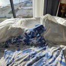 트로피컬하이드어웨이 이미지