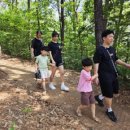 푸른체육관 이미지