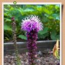 박물관로 이미지