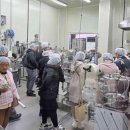 용인시농업기술센터 이미지