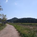 대독누리길 화장실 이미지