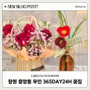 365DAY24H꽃 | 창원 꽃배달 추천 중앙동 24시간 무인 꽃집 365DAY24H