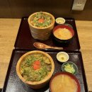 오사카 덴노지 하루카스300 점심 맛집 오야꼬동 스미토 하가마 도겐 후기