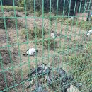 스페이스셔틀 전주 이미지