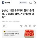 [속보] ‘내란 우두머리 혐의’ 윤석열, 구속영장 발부…“증거인멸 염려” 이미지