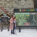 행친