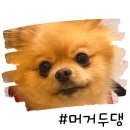 머거두댕 이미지