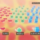 [생로병사의비밀] 뇌 안에 숨겨진 행복의 비밀, 세로토닌 (스압 有희열) 이미지